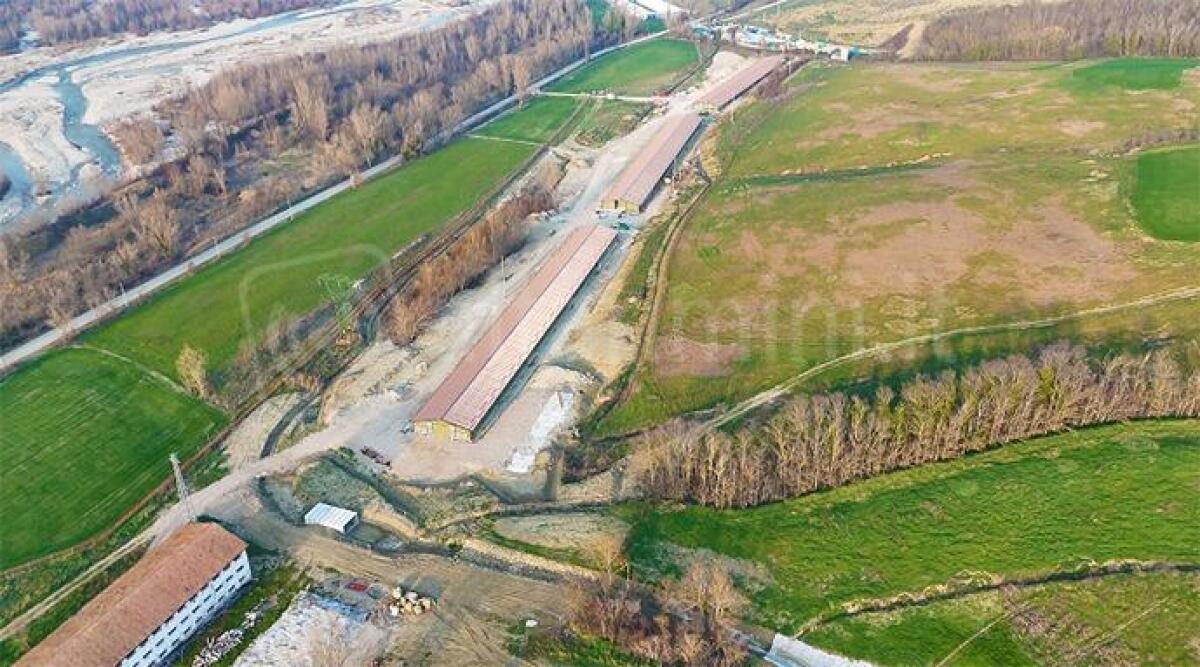 Allevamento Fileni, l'Ausl replica: "Controlli svolti secondo modalità e frequenza definite" - Fileni polo avicolo (repertorio)