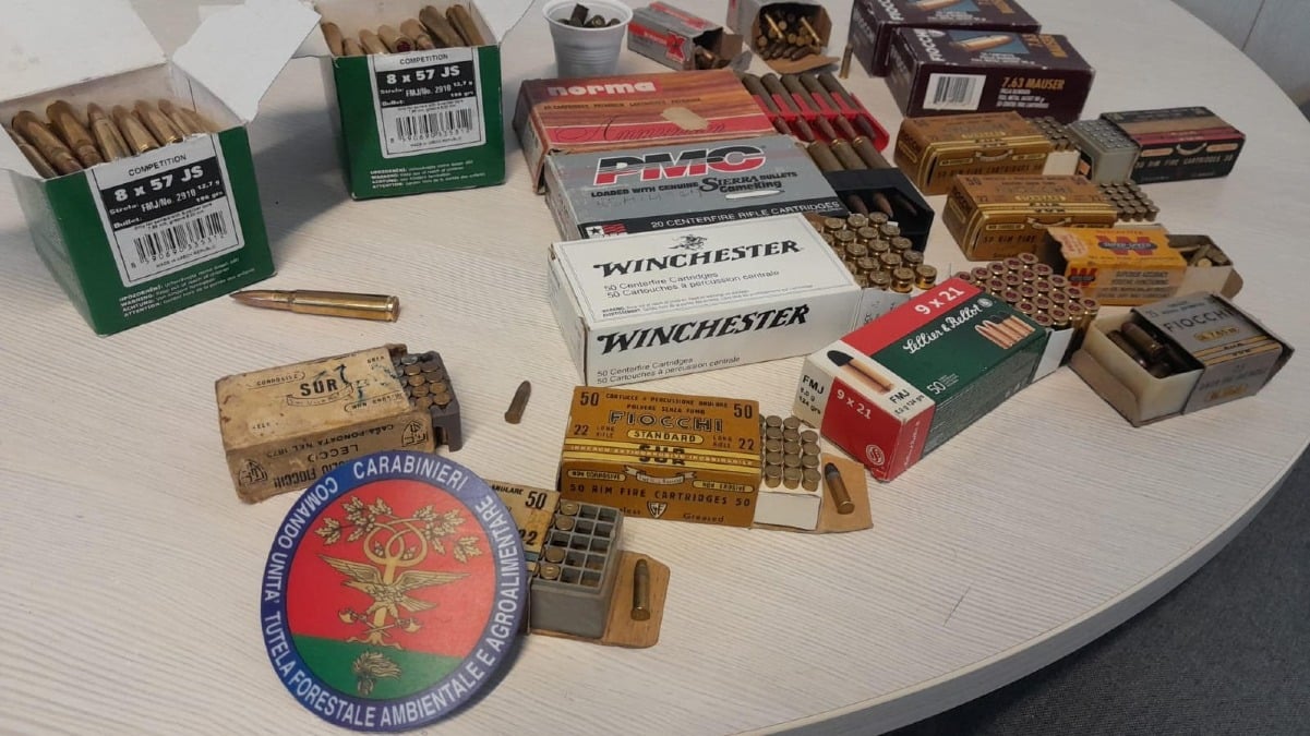 Bracconaggio nel riminese, denunciato un uomo: sequestrate reti e munizioni - 