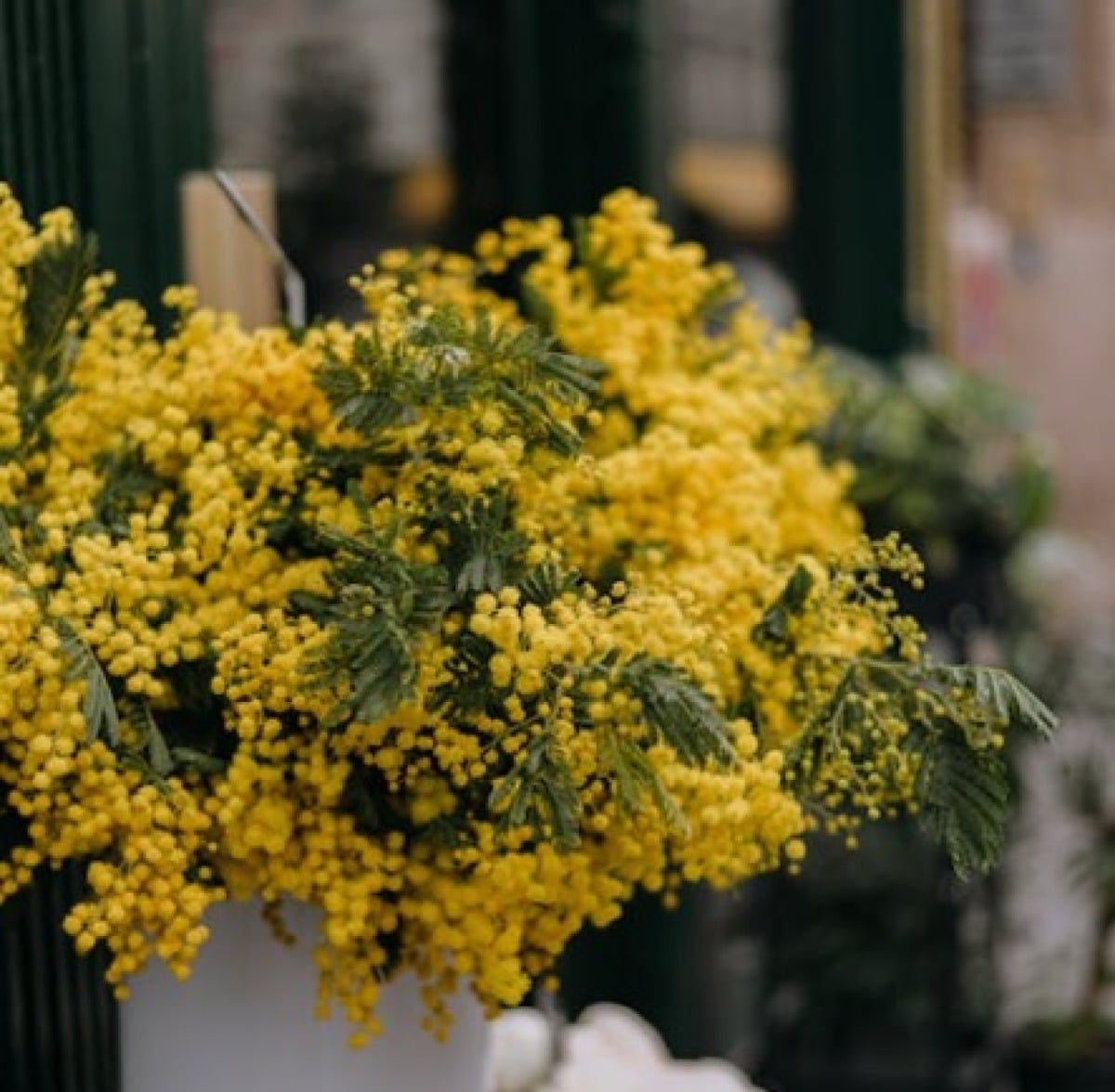 Teatro e mito a Santarcangelo di Romagna: Baubo celebra la Giornata della donna - 