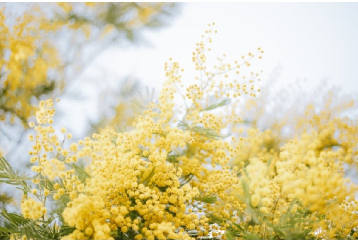 8 marzo a Rimini: CGIL celebra 80 anni del voto alle donne - 