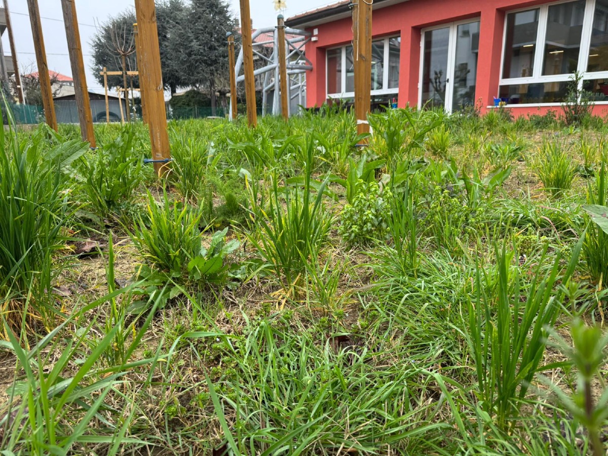 Santarcangelo. Nido Mongolfiera, giardino ancora off limits: scatta la protesta dei genitori - 