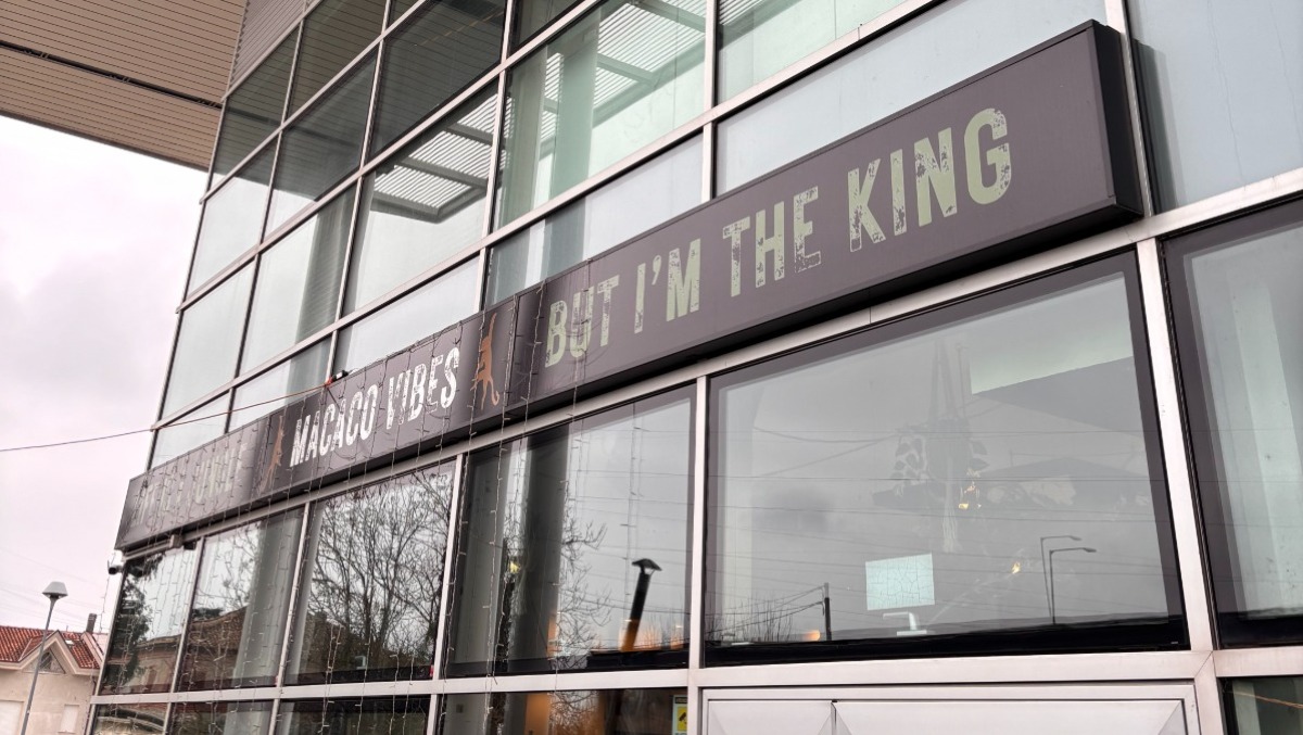 Musica alla mattina con cornetto e cappuccino: la tendenza prende piede anche a Rimini, al Macaco Vibes - 