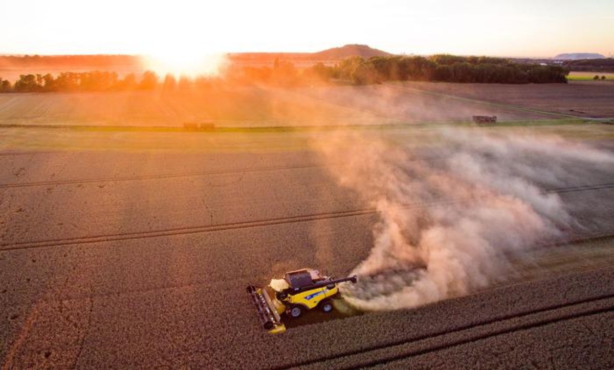 Guerra in Iran, boom prezzo dei fertilizzanti: gravi effetti su produzione agricola - Fertilizzanti ARCHIVIO ANSA