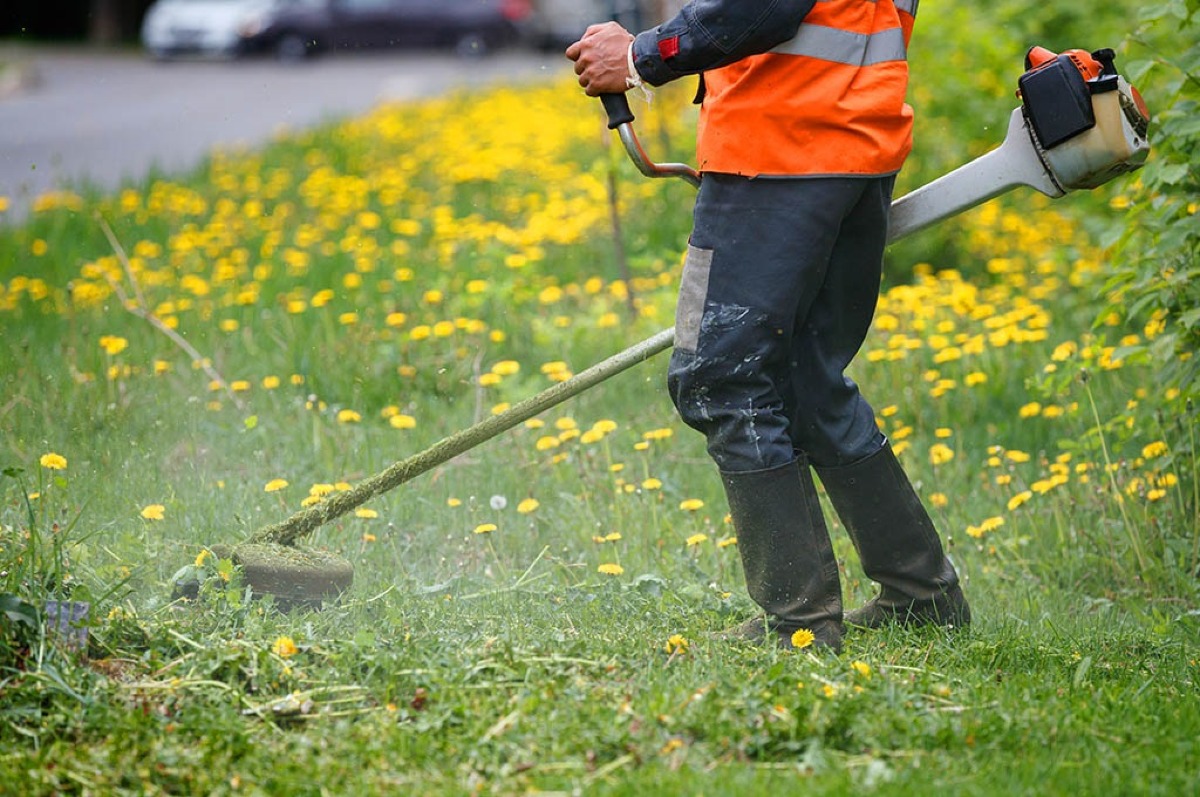 Riccione si prepara alla Pasqua: al via la manutenzione straordinaria del verde in tutta la città - Repertorio