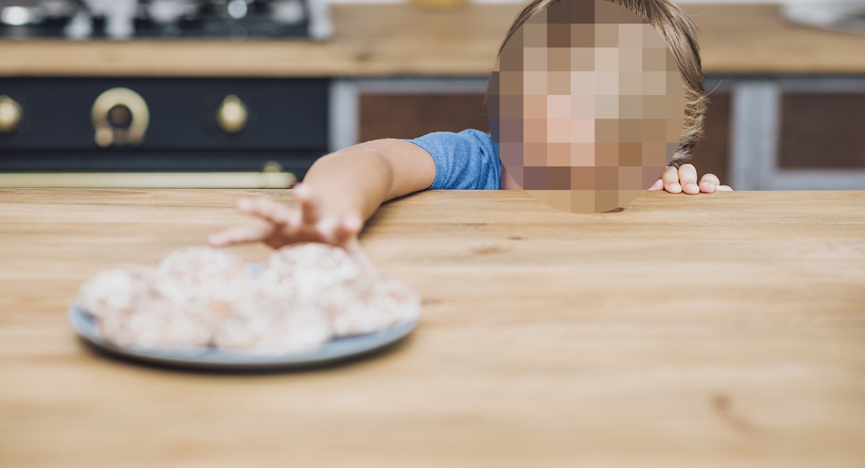 Caso della “famiglia nel bosco”: bimbo digiuna in casa famiglia chiedendo la madre - Repertorio