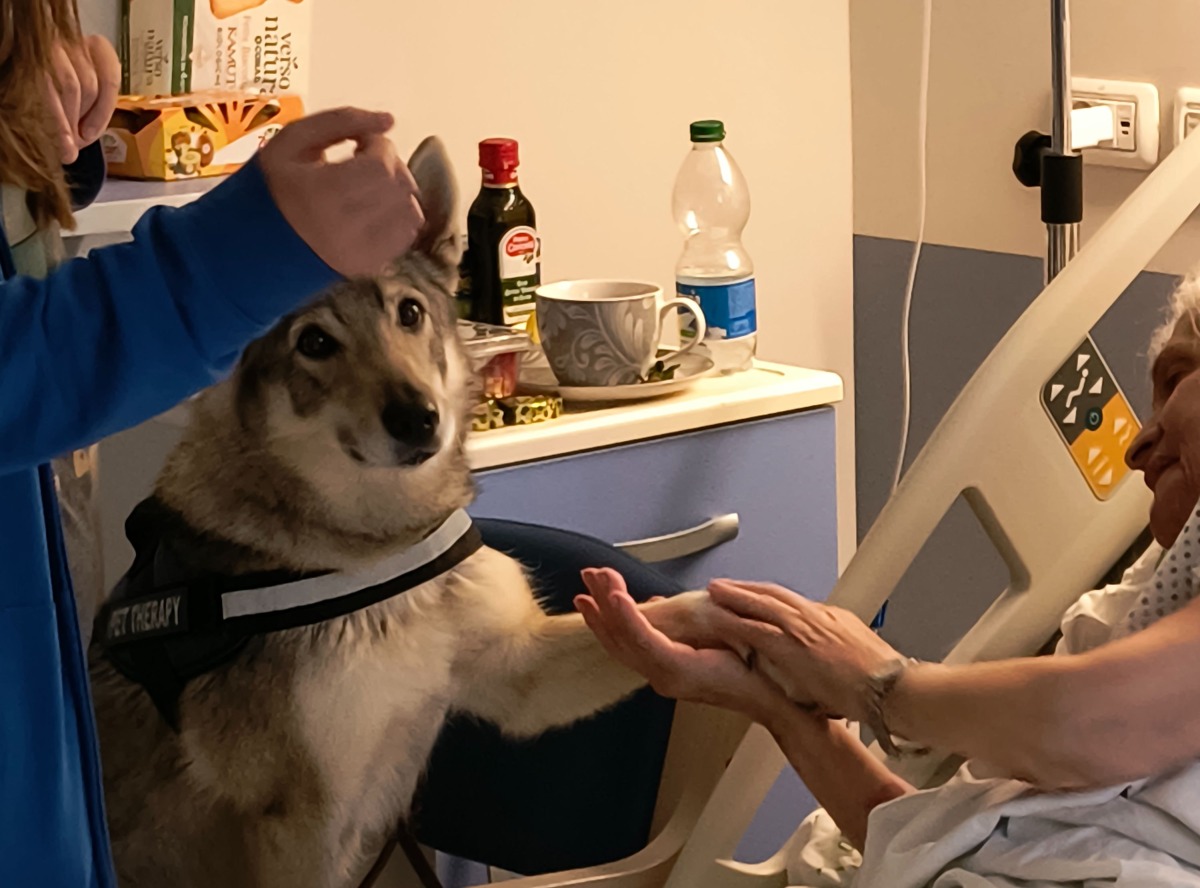 Pet therapy all’Hospice di Rimini: cani in corsia per il benessere dei pazienti - 