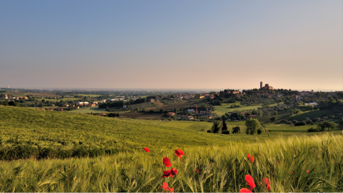 Turismo, Coriano soddisfatto per i risultati del 2025: "Siamo tra le mete di collina in crescita"" - Comune di Coriano
