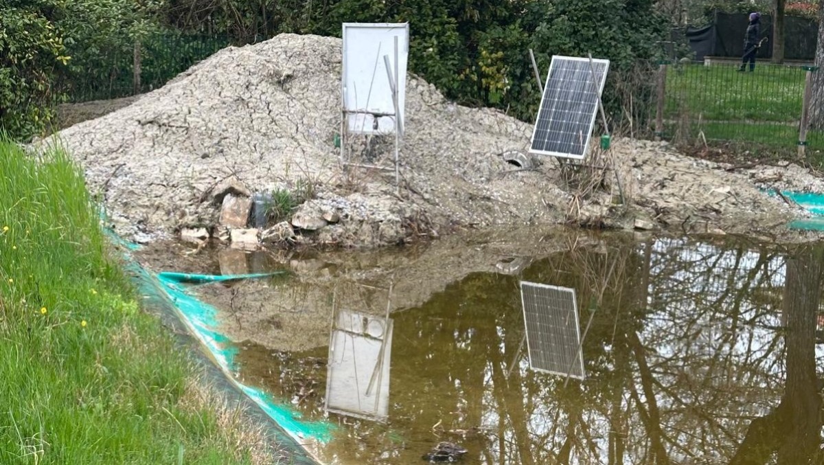 Cattolica, Parco della Pace, laghetto al collasso: accuse all’Amministrazione - 