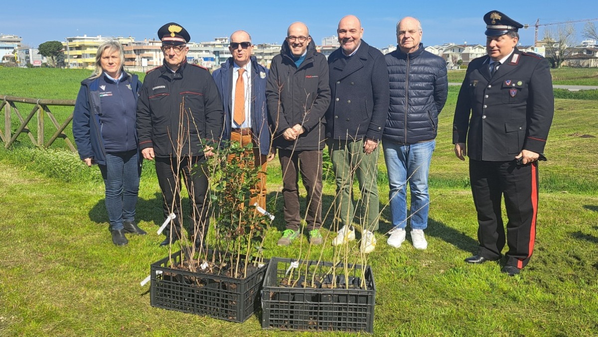 40 nuove alberature al Parco della Greppa di Misano - 