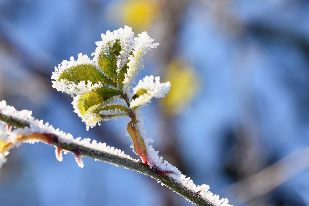 Primavera in ritardo: domenica di instabilità su tutta l’Italia - 