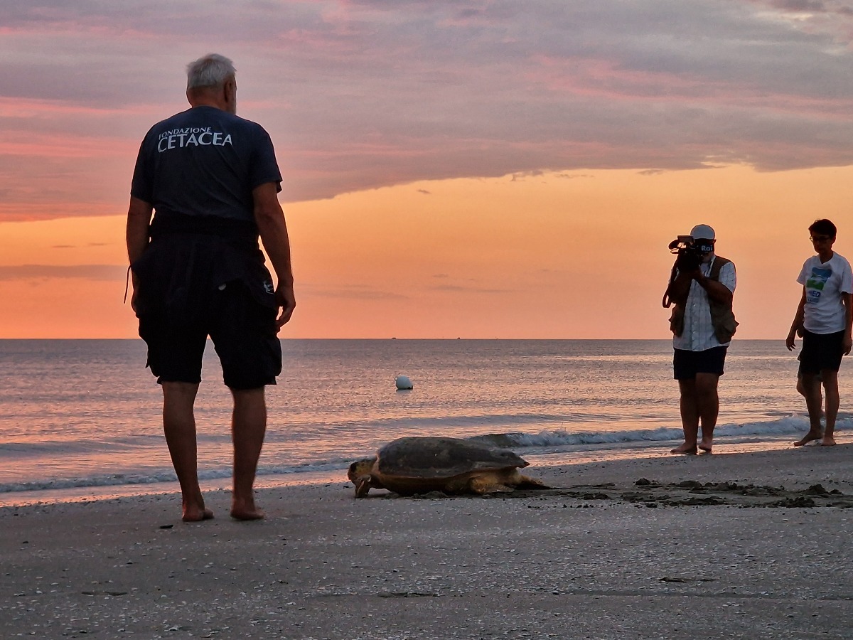 Green Day Riccione 2026: un’intera giornata dedicata alla biodiversità e alla sostenibilità urbana - 