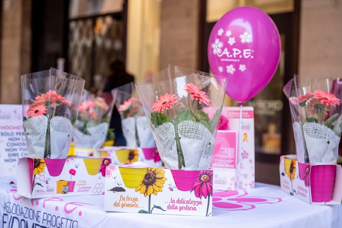 Endometriosi, 3 milioni di donne colpite: anche a Santarcangelo "I fiori della consapevolezza" - 