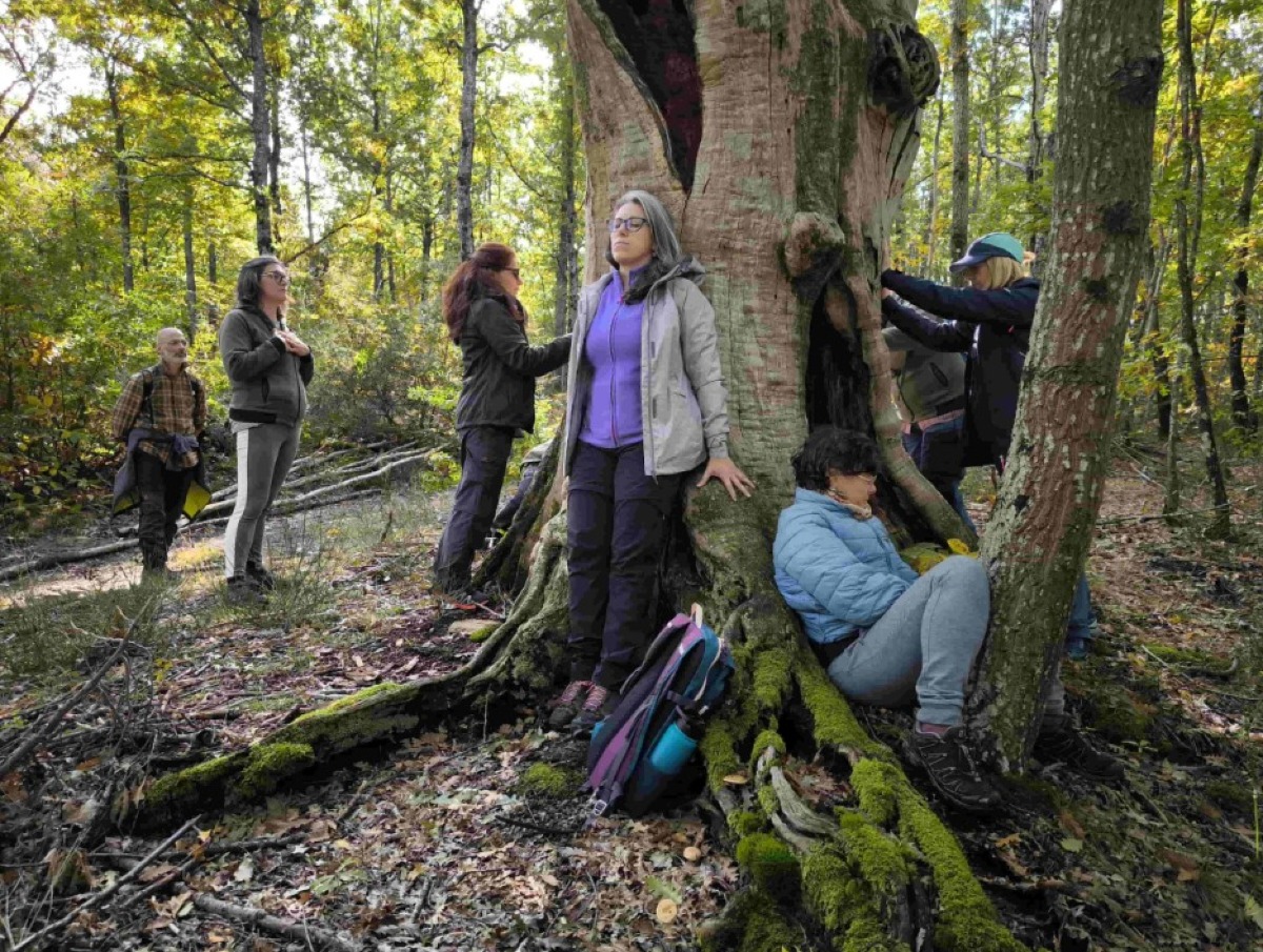 Riccione ospita “Connessioni naturali”: una giornata per ritrovare il benessere immersi nella natura - 