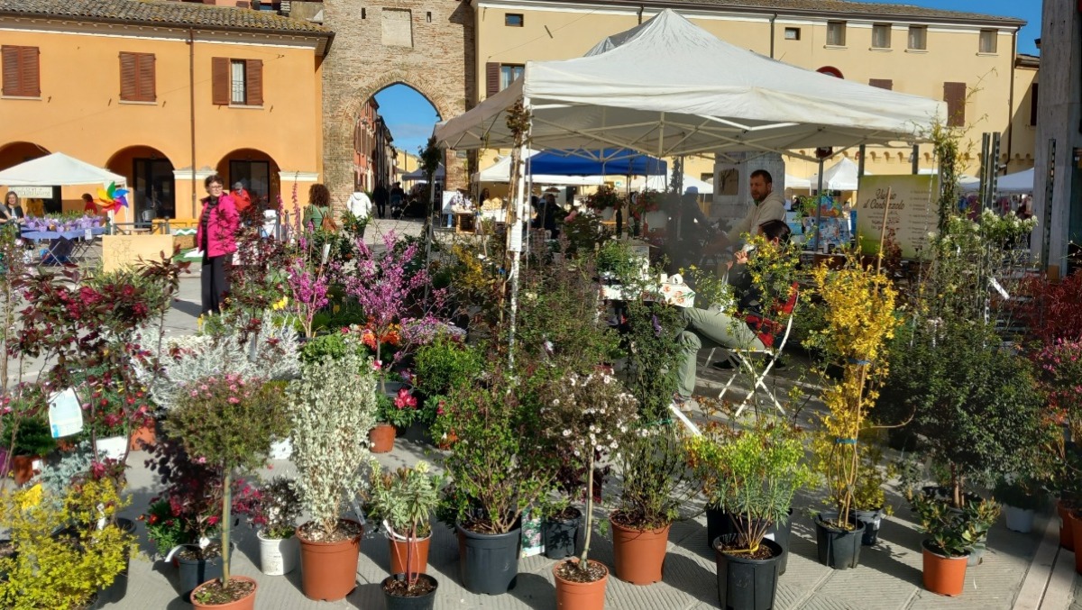 Mercatini, yoga e la magia dei Pony: a San Giovanni in Marignano è tempo di “Primavera in piazza” - Primavera in piazza a San Giovanni in Marignano