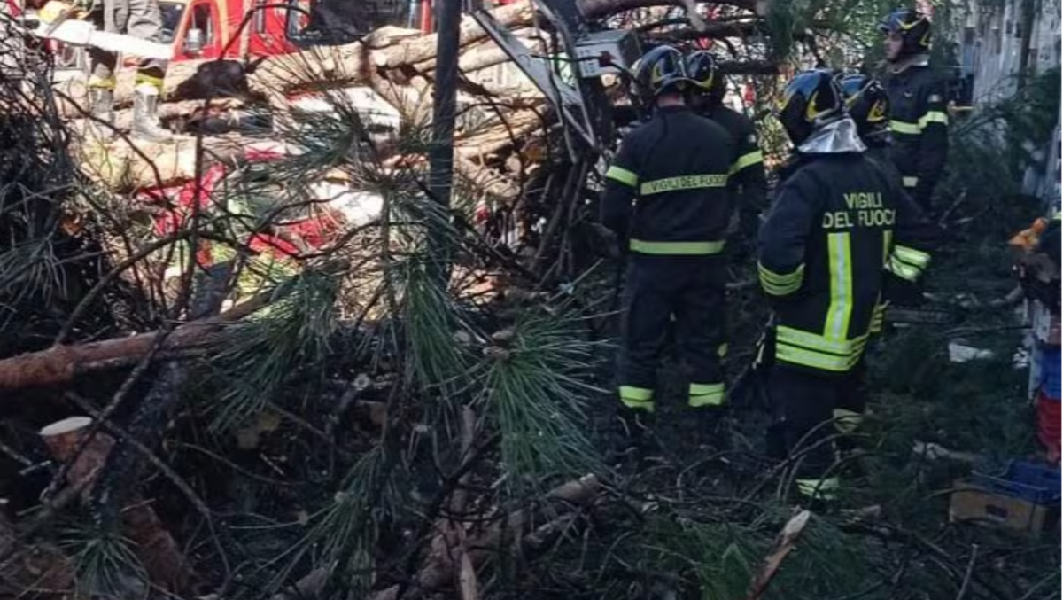 Roma, crolla un albero in via Tiburtina: due feriti e cinque auto danneggiate - 
