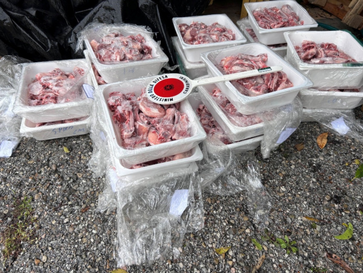 Sequestrati oltre 50 kg di carne di agnello non tracciata a Rimini: i controlli pasquali della Forestale