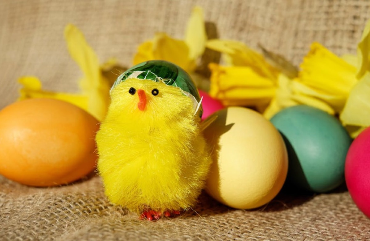Pasqua 2026, prezzi in aumento: uova, colombe e agnello più cari - 