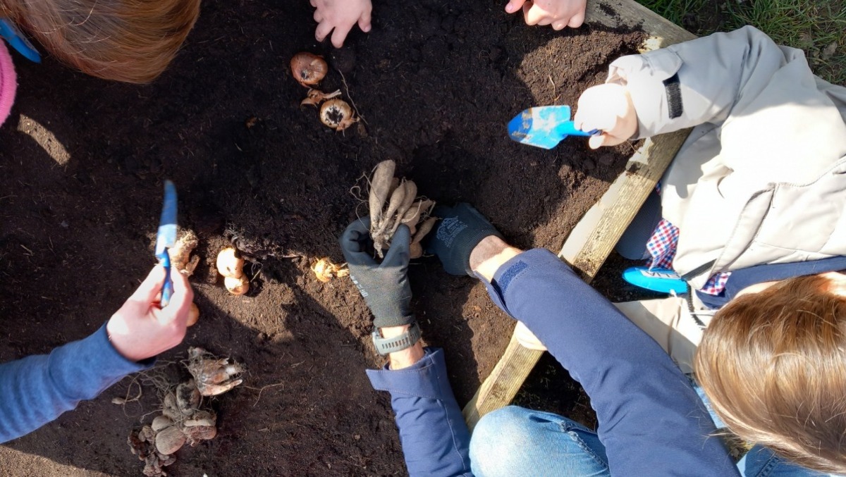 Quaranta studenti del Serpieri al lavoro: idee contro la crisi climatiche - 