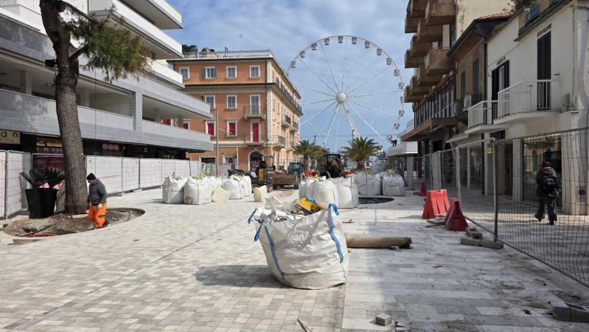 Due pini a rischio crollo abbattuti in viale Ceccarini a Riccione - 