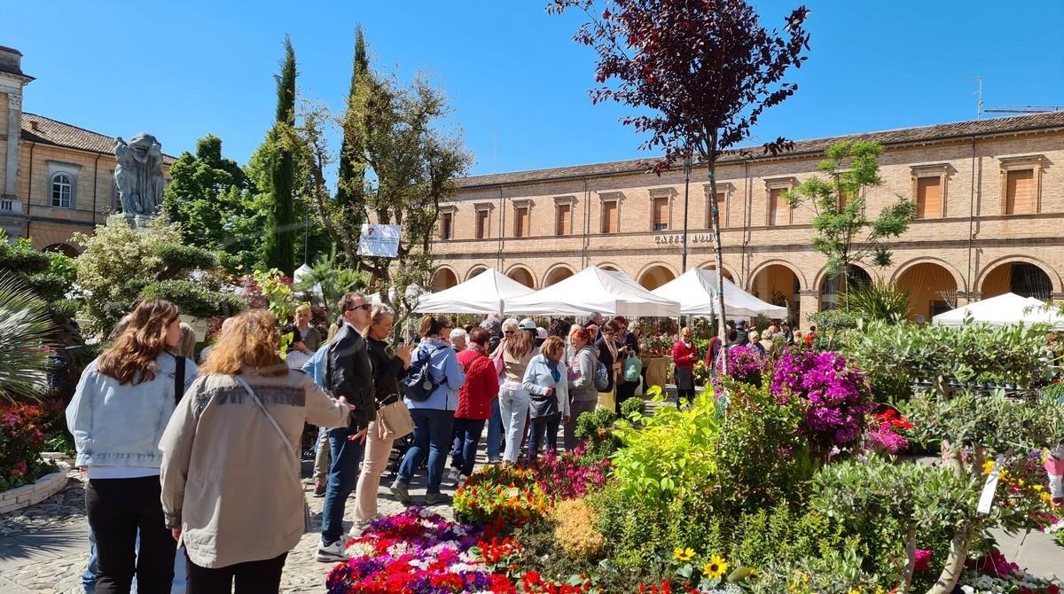 Santarcangelo, Balconi Fioriti confermata anche per i prossimi due anni - Balconi Fioriti
