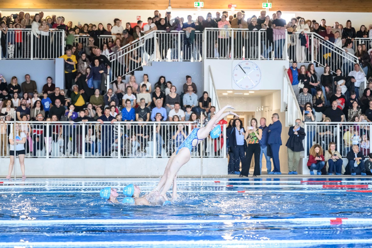 Galleria del 29/03/2026 10:45