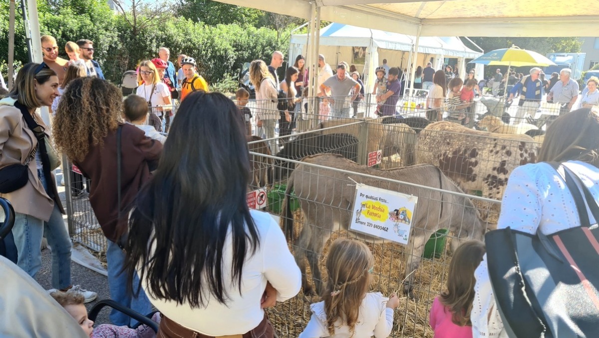 Fiere di San Michele e San Martino, aperto il bando per la gestione degli eventi santarcangiolesi - 