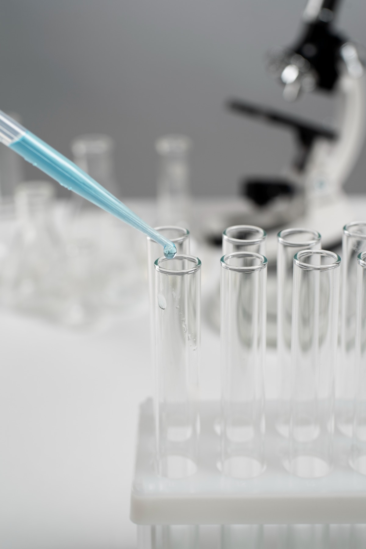 Presunta truffa ai fondi Ue, indagati docenti e imprenditori: il gip respinge 17 misure cautelari - 