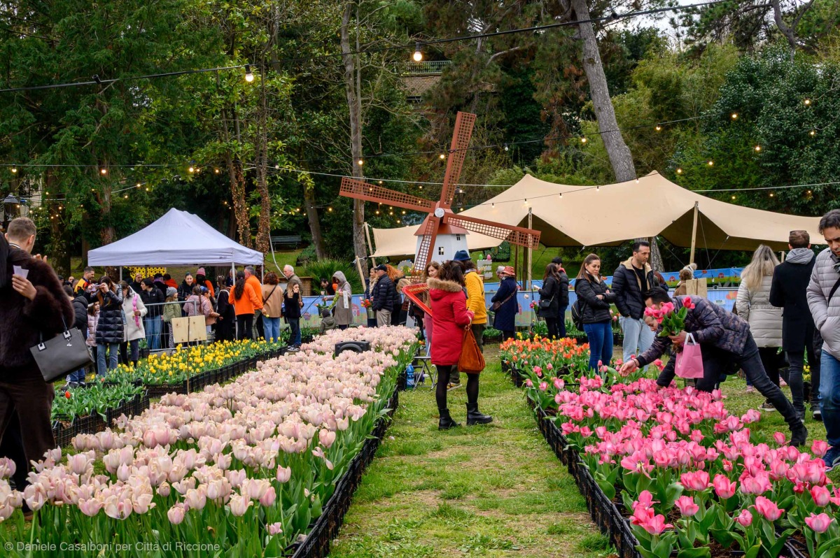 Allerta vento a Riccione: Parco dei Tulipani off limits per un giorno - 