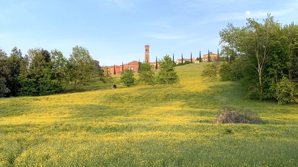 Santarcangelo accoglie oltre 4000 ragazzi per la Via Crucis: come cambia la viabilità - Parco Baden Powell di Santarcangelo