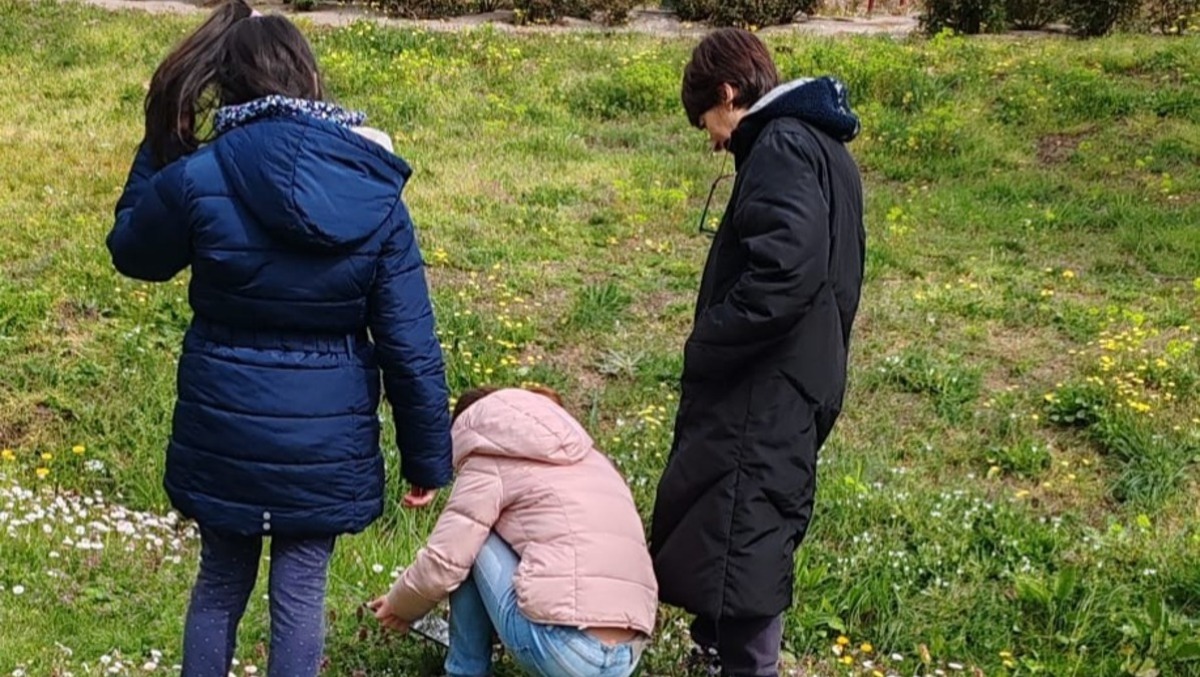 A lezione di educazione ambientale: gli scolari di Bellaria Igea Marina studiano la biodiversità - 