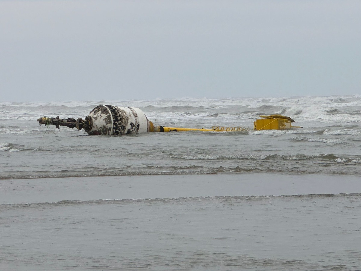 Maltempo a Rimini: la furia del mare sradica una grossa boa al Marano - Boa alla deriva al Marano: segnalazione di un lettore