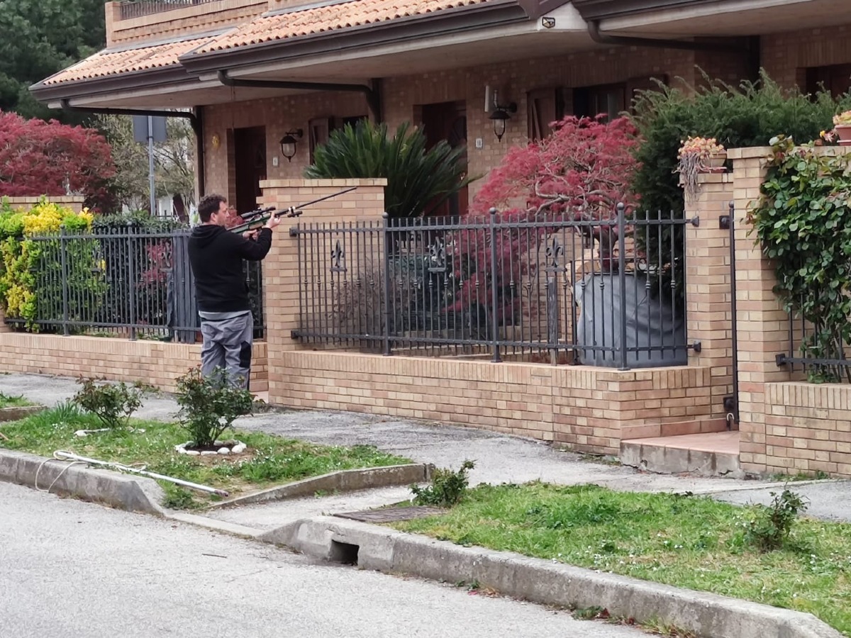 Sant'Ermete: vitello in fuga crea caos, finisce in un giardino di casa. Chiusa la strada per il recupero - 