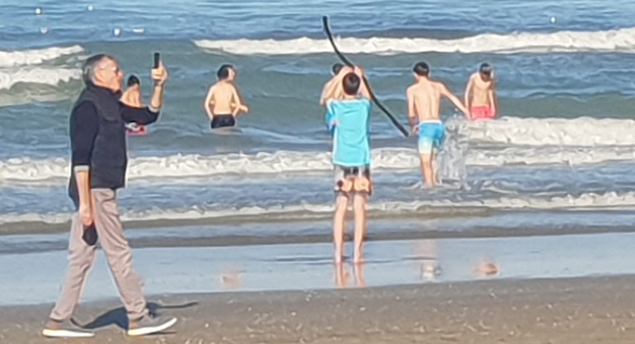 Pasqua baciata dal sole: Rimini presa d’assalto tra mare, eventi e cultura - La spiaggia di Rimini, primi bagni