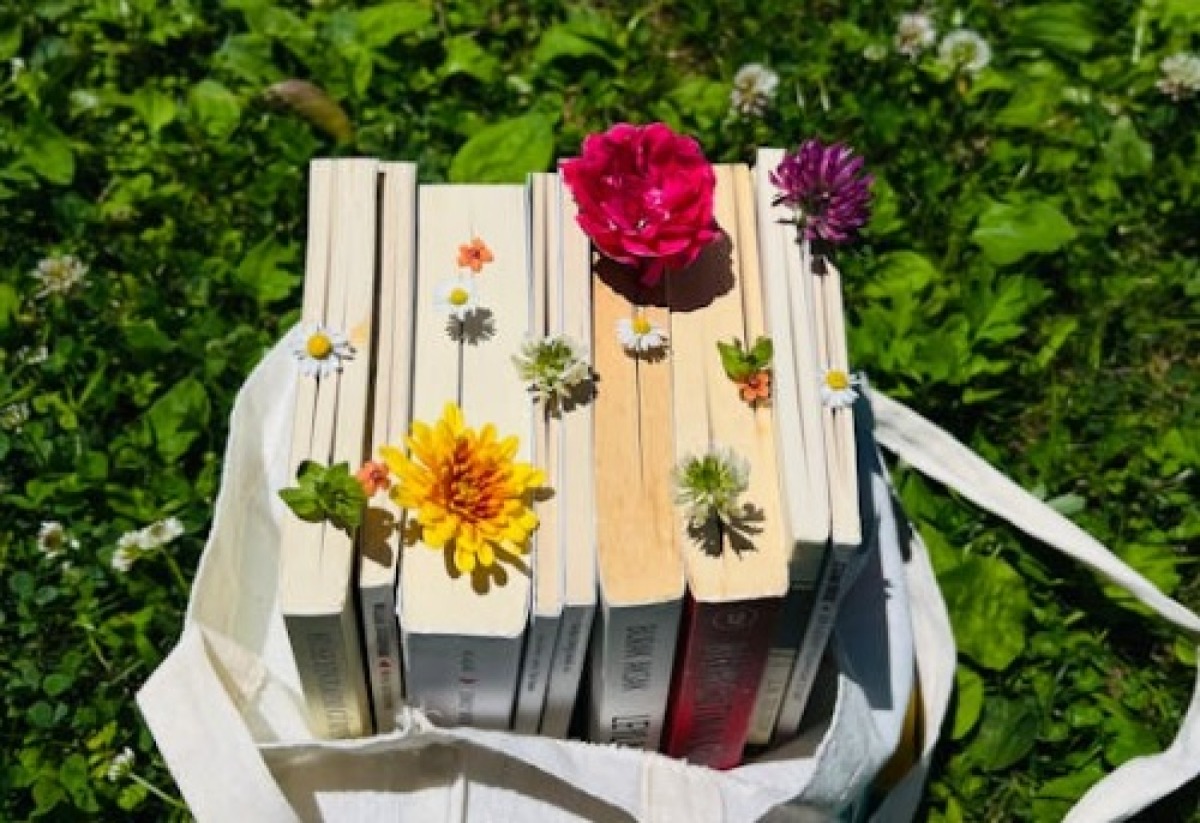 Pasquetta 2026, 5 libri da leggere tra picnic, relax e passeggiate - 