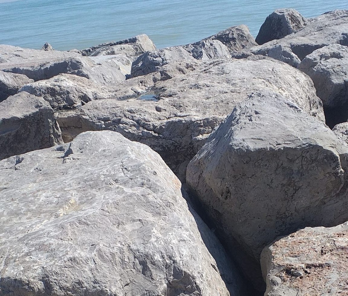 Bimba cade tra gli scogli al porto di Rimini: salvata dal padre e da due passanti - Il luogo dove è successo l'episodio