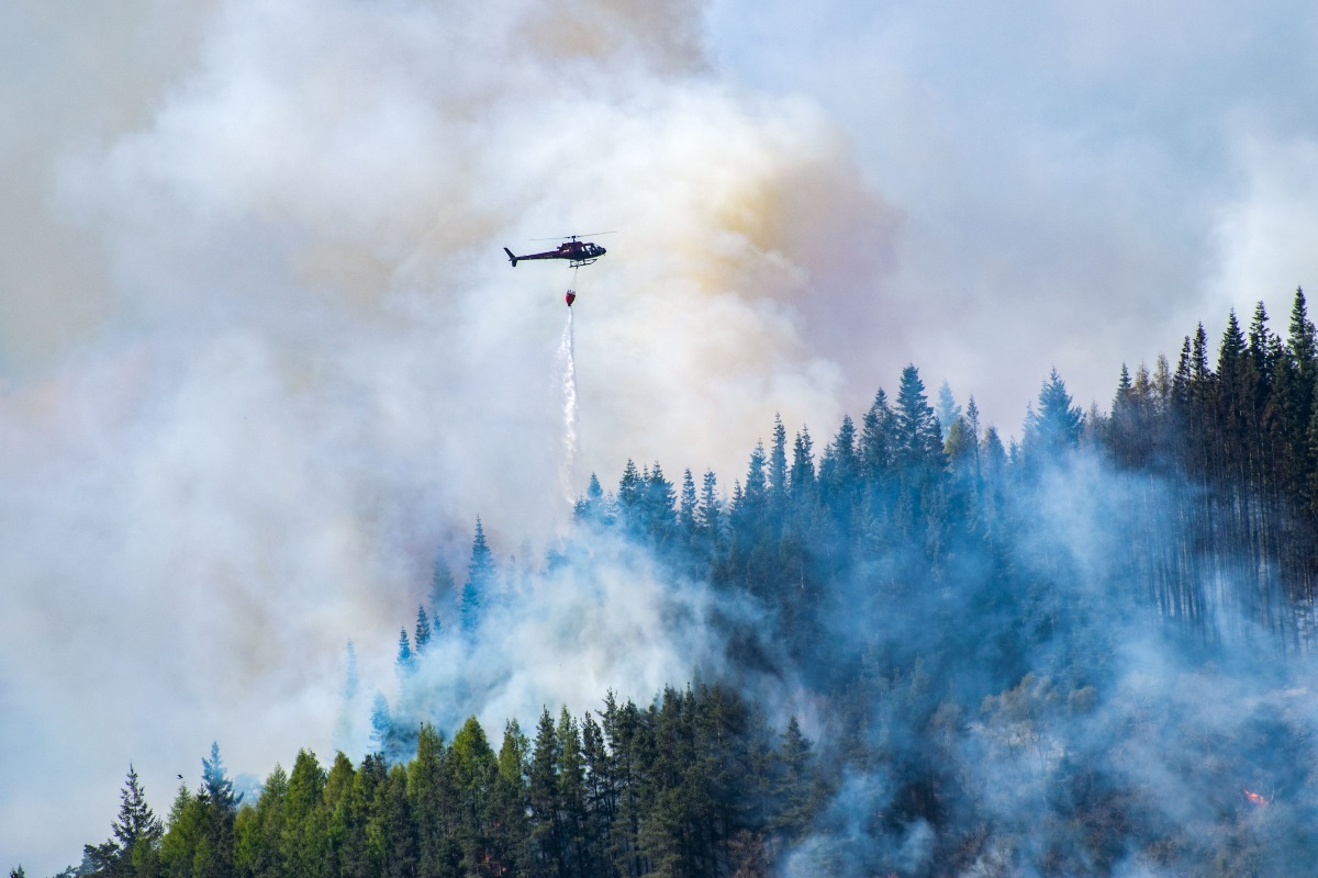 Incendio sull’Appennino bolognese, riprendono i lanci d’acqua - Repertorio