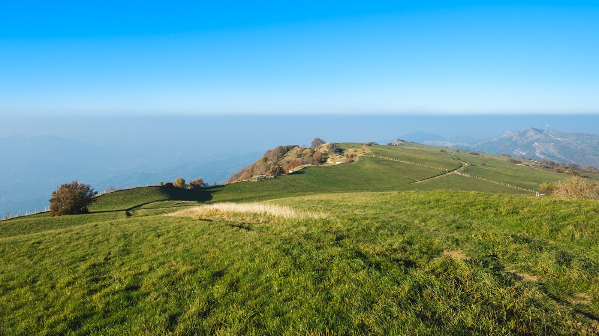 Praterie a rischio: al Museo naturalistico di Pennabilli   un incontro per capire e proteggere la biodiversità - Ph Lorenzo Bravi