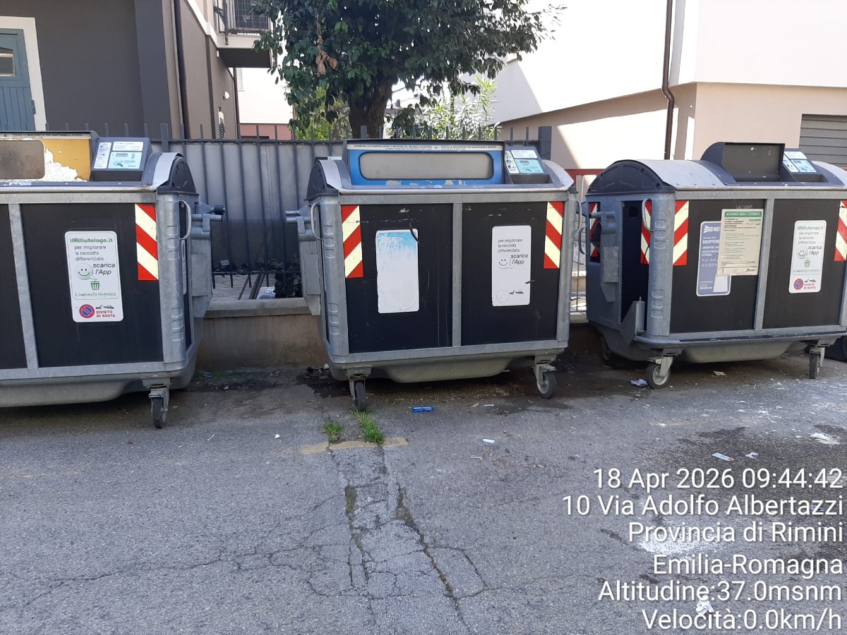 Cassonetti in via Albertazzi ripuliti da Hera - 