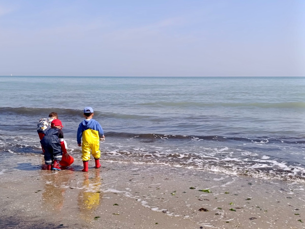 Rimini: 200 bambini tra spiagge e boschi per un'educazione ecologica - 