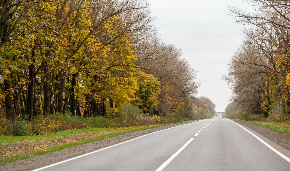 Olanda in allerta, parte il piano di crisi energetica. Tra le misure future: limiti di velocità e stop alle auto - 