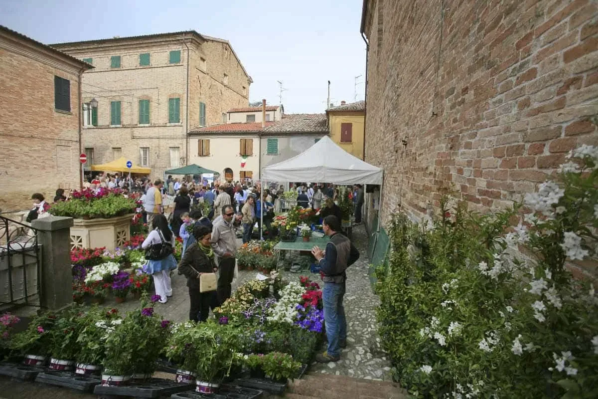 Saluserbe e non solo: ecco tutti gli eventi in Valconca per il weekend del 25 Aprile - 