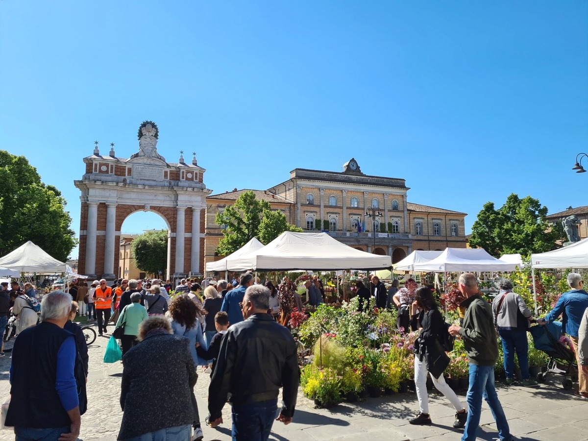 Santarcangelo, torna Balconi Fioriti: la storica manifestazione dedicata al verde - Balconi fioriti a Santarcangelo
