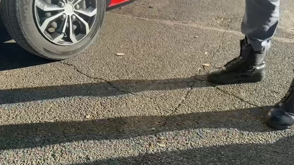 Spari a Roma, scontro ANPI–Comunità ebraica: “Accuse farneticanti”, “Siamo stati esclusi” - ph Ansa