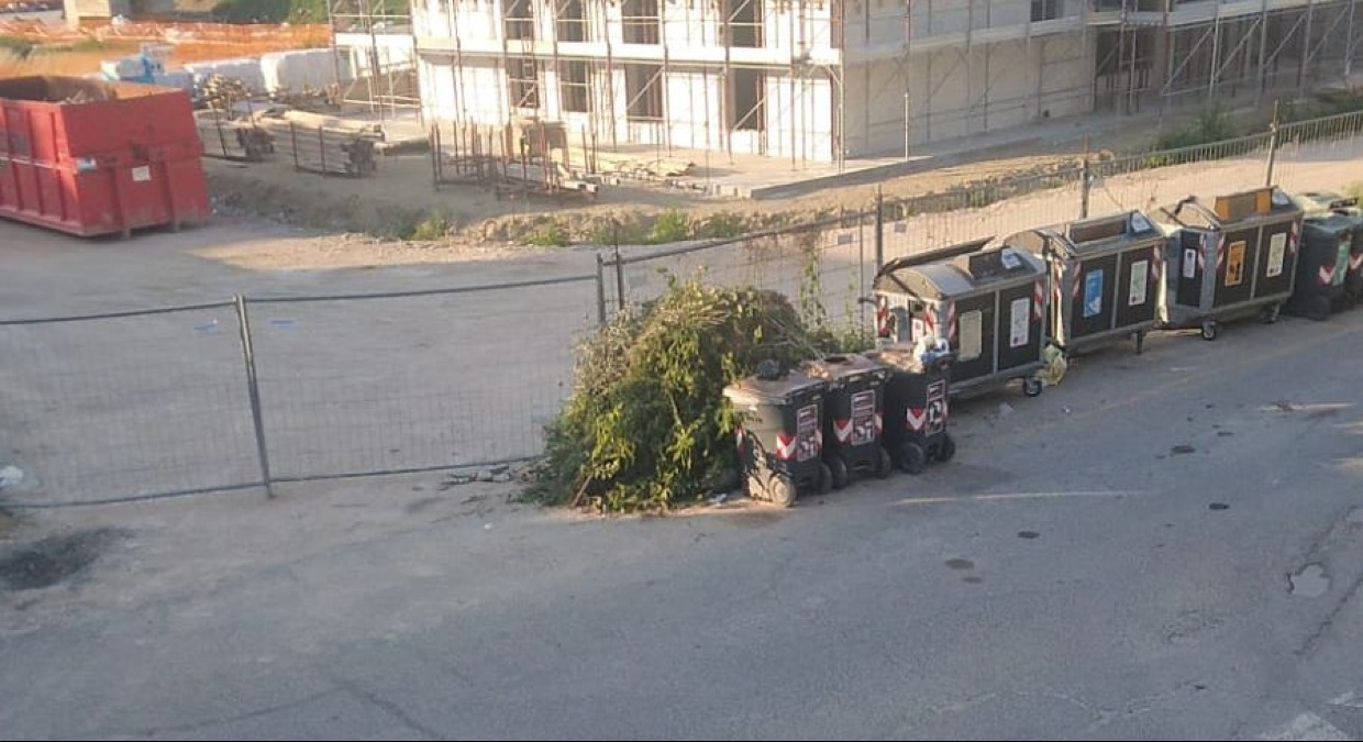 Rifiuti verdi in quantità accanto ai bidoni: la segnalazione - 