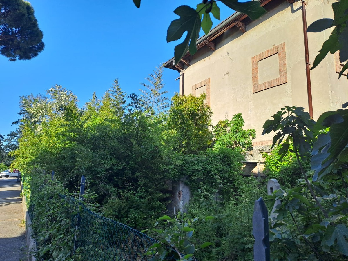 Colonnella, residenti denunciano degrado: “presenza di topi”. La segnalazione - 