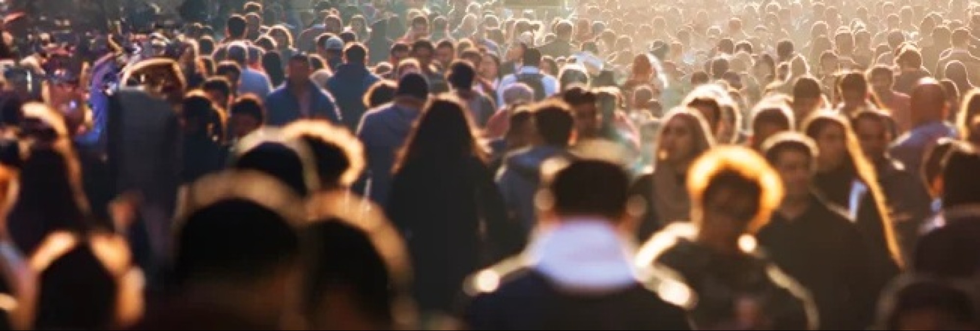 Censimento Istat: Rimini stabile tra popolazione straniera e tenuta migratoria - 