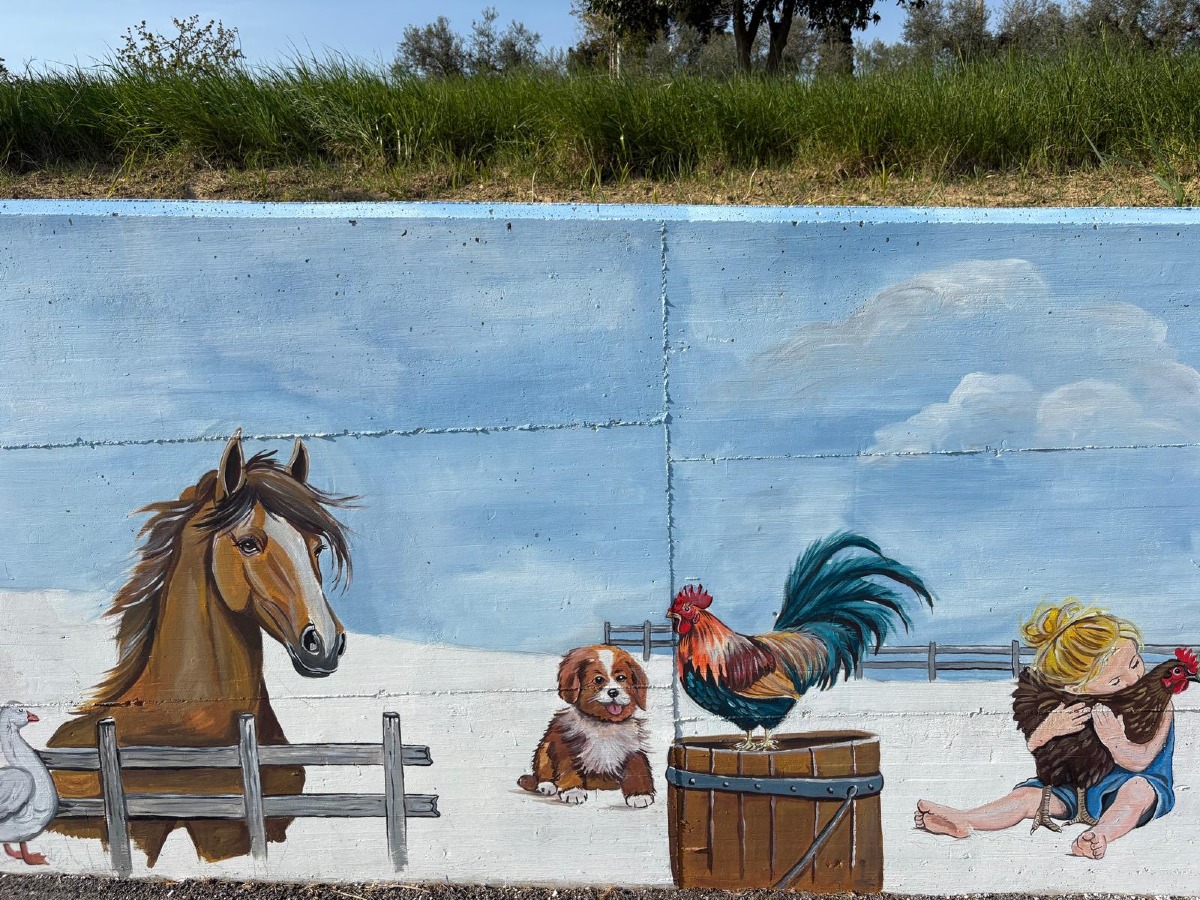 Murales