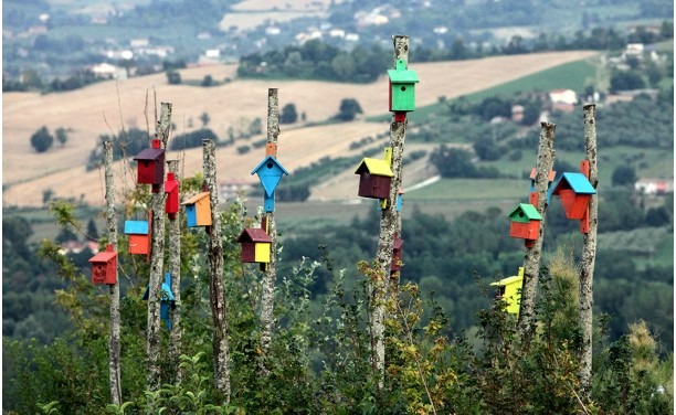Le cassettine degli uccelli.