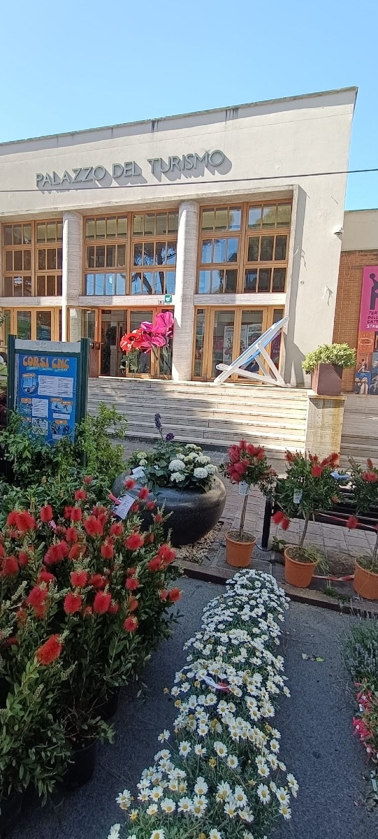 Galleria del 30/04/2026 10:37