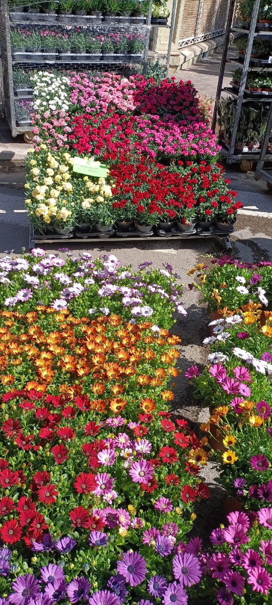 Galleria del 30/04/2026 10:37